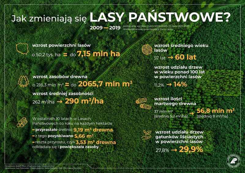 Jak zmieniają się Lasy Państwowe - infografika