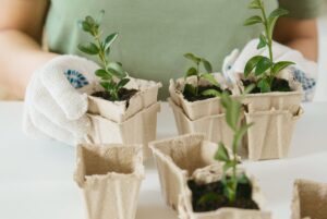 środki ochrony roślin